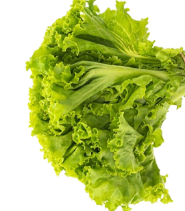 Lettuce Overlay